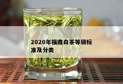 2020年福鼎白茶等级标准及分类