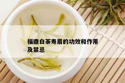 福鼎白茶寿眉的功效和作用及禁忌