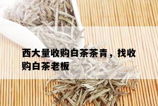 西大量收购白茶茶青，找收购白茶老板