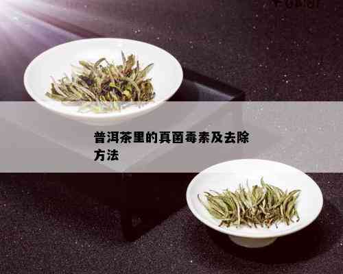 普洱茶里的真菌素及去除方法