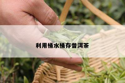 利用桶水桶存普洱茶