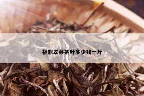 福鼎翠芽茶叶多少钱一斤