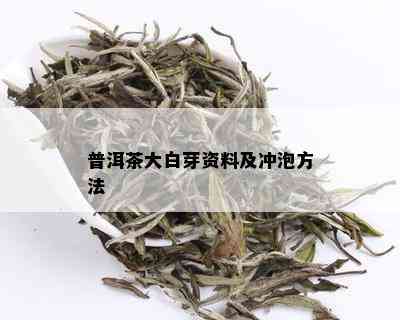 普洱茶大白芽资料及冲泡方法