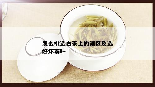 怎么挑选白茶上的误区及选好坏茶叶