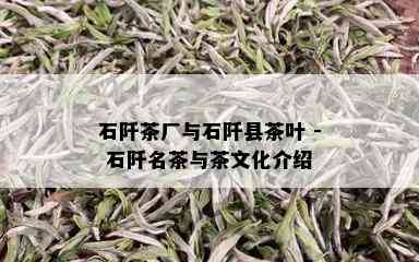 石阡茶厂与石阡县茶叶 - 石阡名茶与茶文化介绍