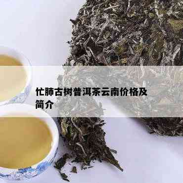 忙肺古树普洱茶云南价格及简介