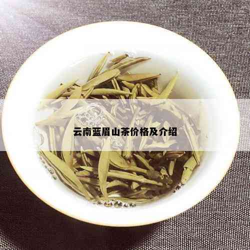 云南蓝眉山茶价格及介绍