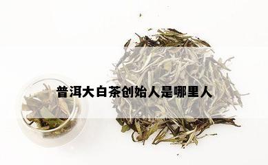 普洱大白茶创始人是哪里人