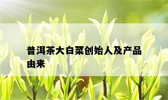 普洱茶大白菜创始人及产品由来