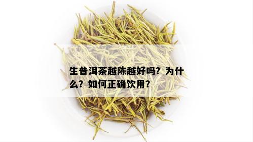 生普洱茶越陈越好吗？为什么？如何正确饮用？