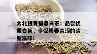 太北初青福鼎白茶：品尝优质白茶，享受初春青涩的清新滋味！