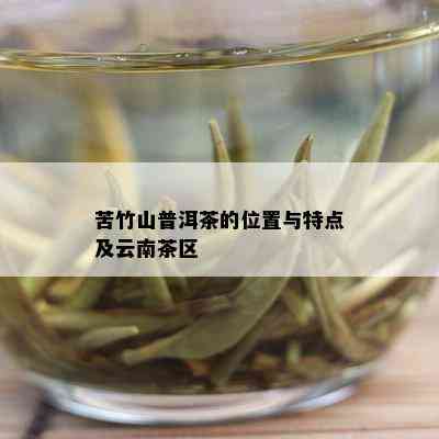 苦竹山普洱茶的位置与特点及云南茶区