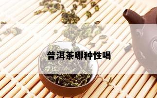 普洱茶哪种性喝