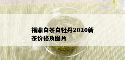 福鼎白茶白牡丹2020新茶价格及图片