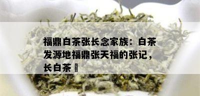 福鼎白茶张长念家族：白茶发源地福鼎张天福的张记，长白茶藨