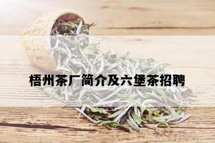 梧州茶厂简介及六堡茶招聘