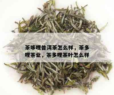 茶哆哩普洱茶怎么样，茶多哩茶业，茶多哩茶叶怎么样