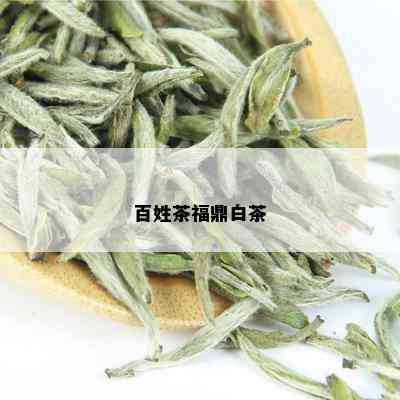 百姓茶福鼎白茶