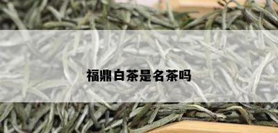 福鼎白茶是名茶吗