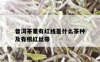 普洱茶里有红线是什么茶种及有根红丝带