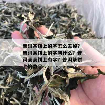 普洱茶饼上的字怎么去掉？普洱茶饼上的字叫什么？普洱茶茶饼上有字？普洱茶饼上的数字