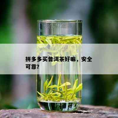 拼多多买普洱茶好嘛，安全可靠？