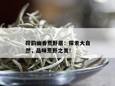 荷韵幽香荒野眉：探索大自然，品味荒野之美！