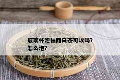 玻璃杯泡福鼎白茶可以吗？怎么泡？