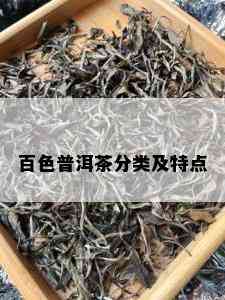 百色普洱茶分类及特点