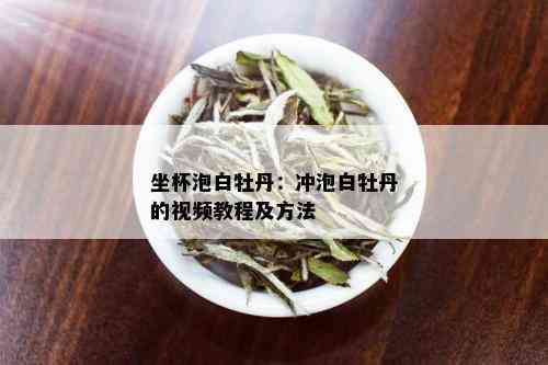 坐杯泡白牡丹：冲泡白牡丹的视频教程及方法