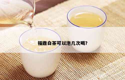 福鼎白茶可以泡几次喝？