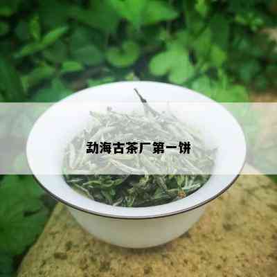 勐海古茶厂之一饼