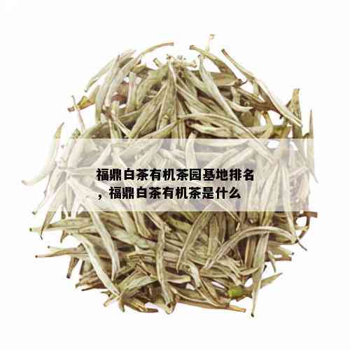 福鼎白茶有机茶园基地排名，福鼎白茶有机茶是什么