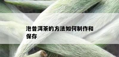 泡普洱茶的方法如何制作和保存