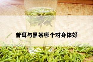 普洱与黑茶哪个对身体好