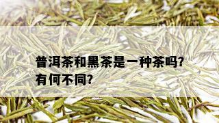 普洱茶和黑茶是一种茶吗？有何不同？