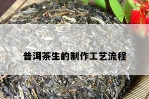 普洱茶生的制作工艺流程