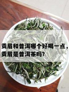 贡眉和普洱哪个好喝一点，贡眉是普洱茶吗？