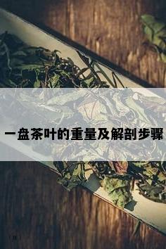 一盘茶叶的重量及解剖步骤