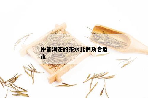 冲普洱茶的茶水比例及合适水