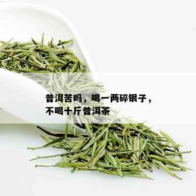 普洱苦吗，喝一两碎银子，不喝十斤普洱茶