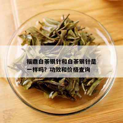 福鼎白茶银针和白茶银针是一样吗？功效和价格查询