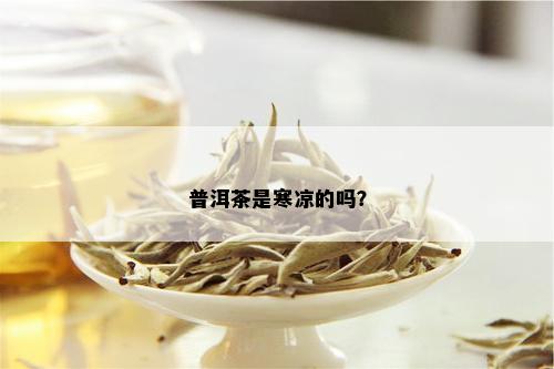 普洱茶是寒凉的吗？