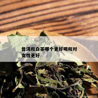 普洱和白茶哪个更好喝和对女性更好