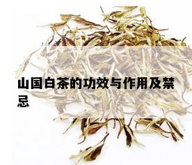 山国白茶的功效与作用及禁忌