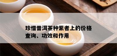 珍惜普洱茶种紫者上的价格查询、功效和作用