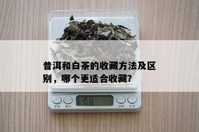 普洱和白茶的收藏方法及区别，哪个更适合收藏？