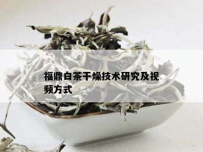 福鼎白茶干燥技术研究及视频方式