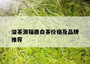 溢茶源福鼎白茶价格及品牌推荐