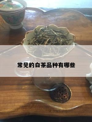 常见的白茶品种有哪些